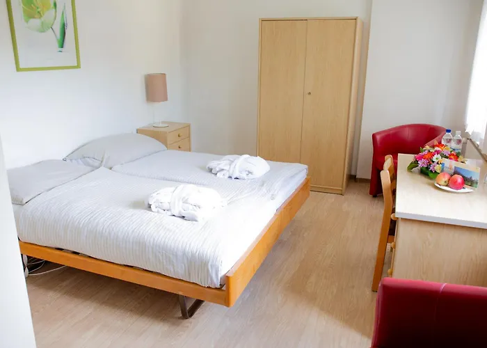 Parkhotel Emmaus - Casa Rustico アスコナ